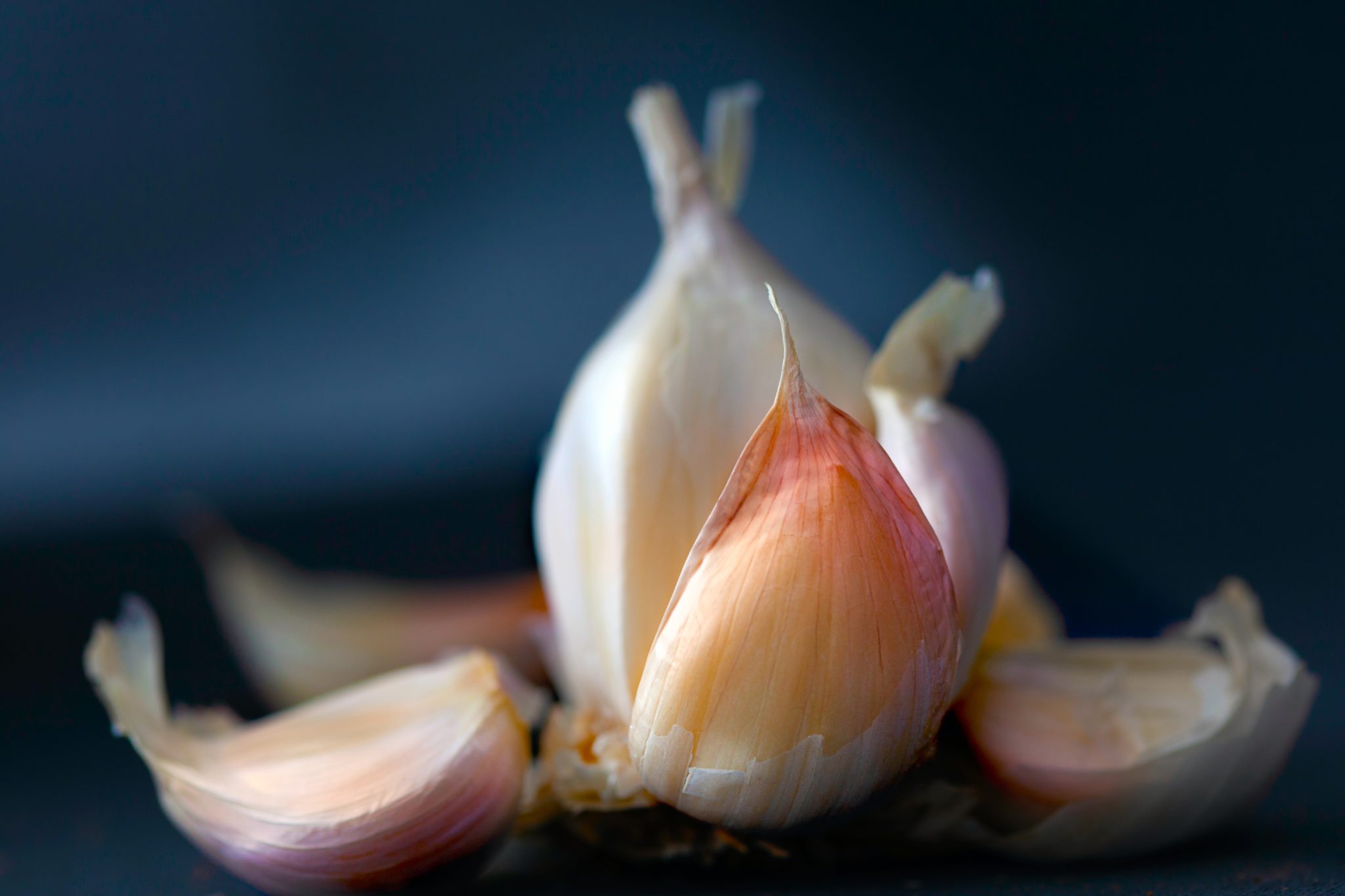bulb of garlic broken into cloves on dark background