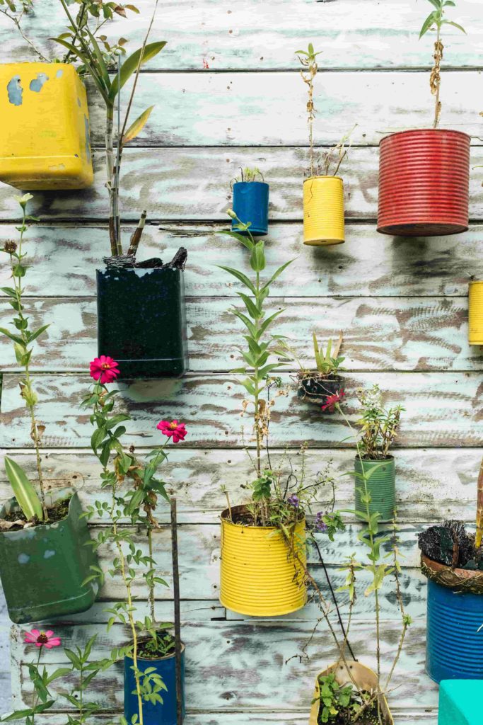 painted tin can planters on a white garden wall