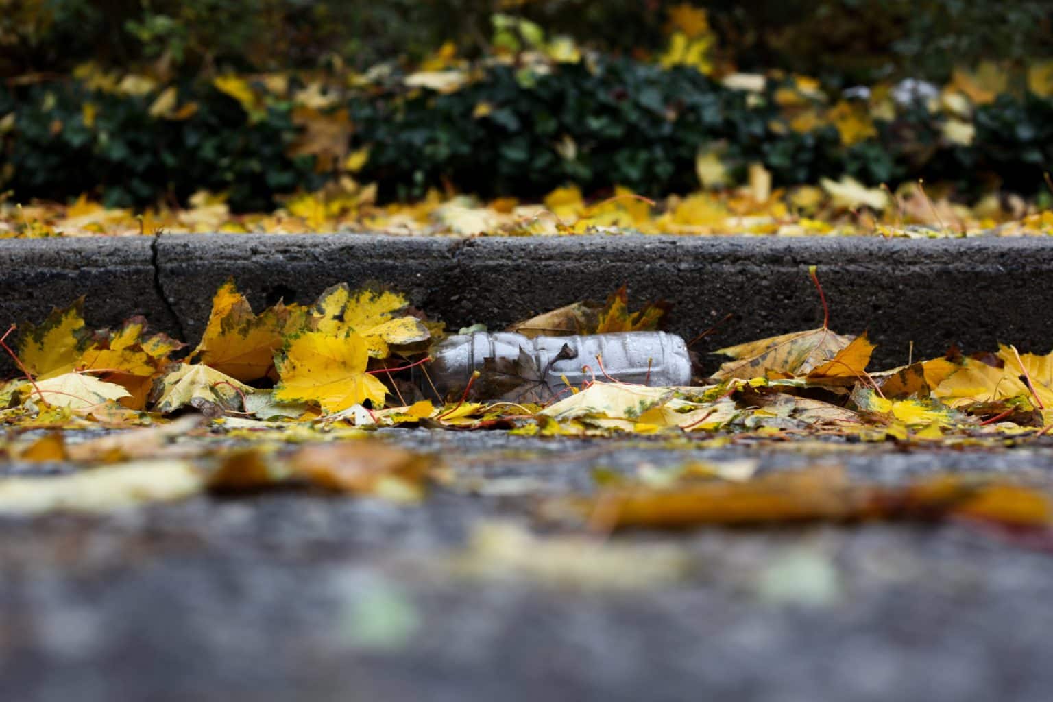 plastic bottle laying in the gutter partially covered with autumn leaves