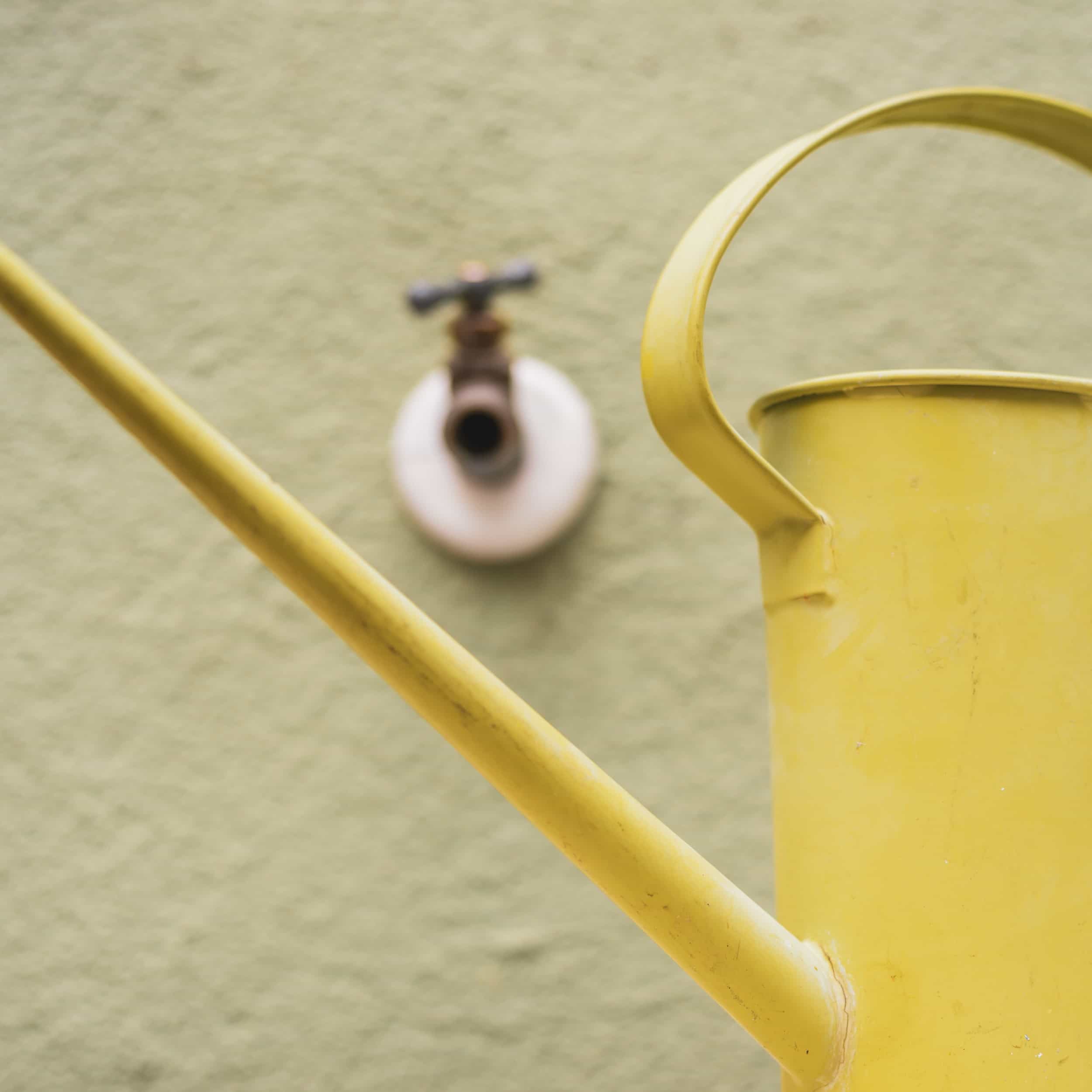 yellow metal watering can in foreground and garden tap in background - water saving tips