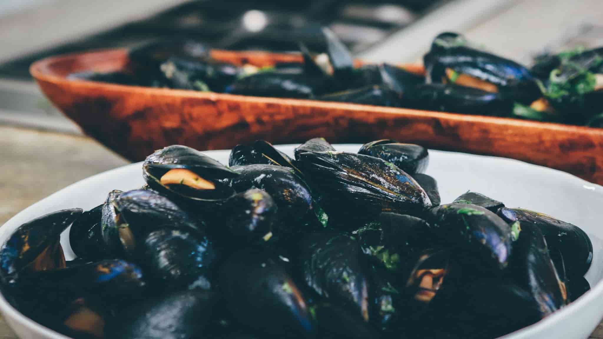 mussels in season in May - in a white bowl