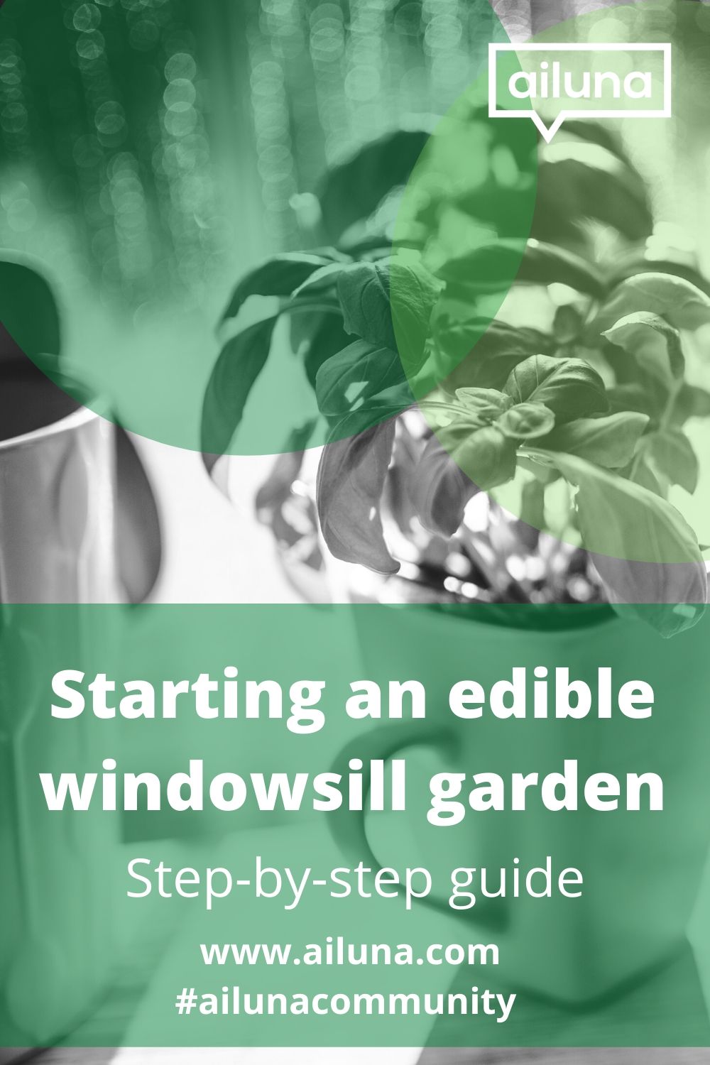 starting an edible windowsill garden pinterest pin