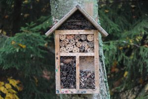 brown wooden insect hotel filled with natural materials attached to a tree
