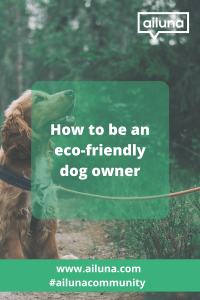 eco-friendly dog owner pinterest pin