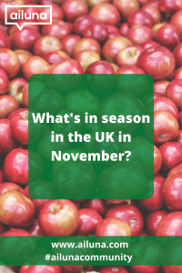what is in season in the uk in November Pinterest pin