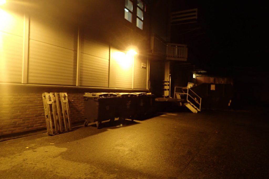 dumpsters at the back of a shop in the dark