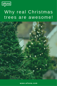 why real christmas trees are awesome Pinterest pin