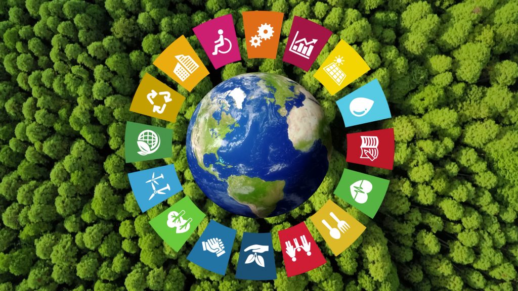 An images depicting the UNs sustainable development goals