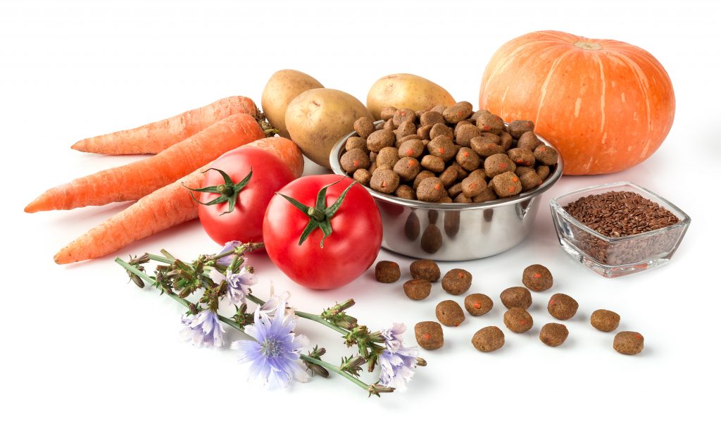 vegan dog food in a bowl surrounded by a selection of vegetables